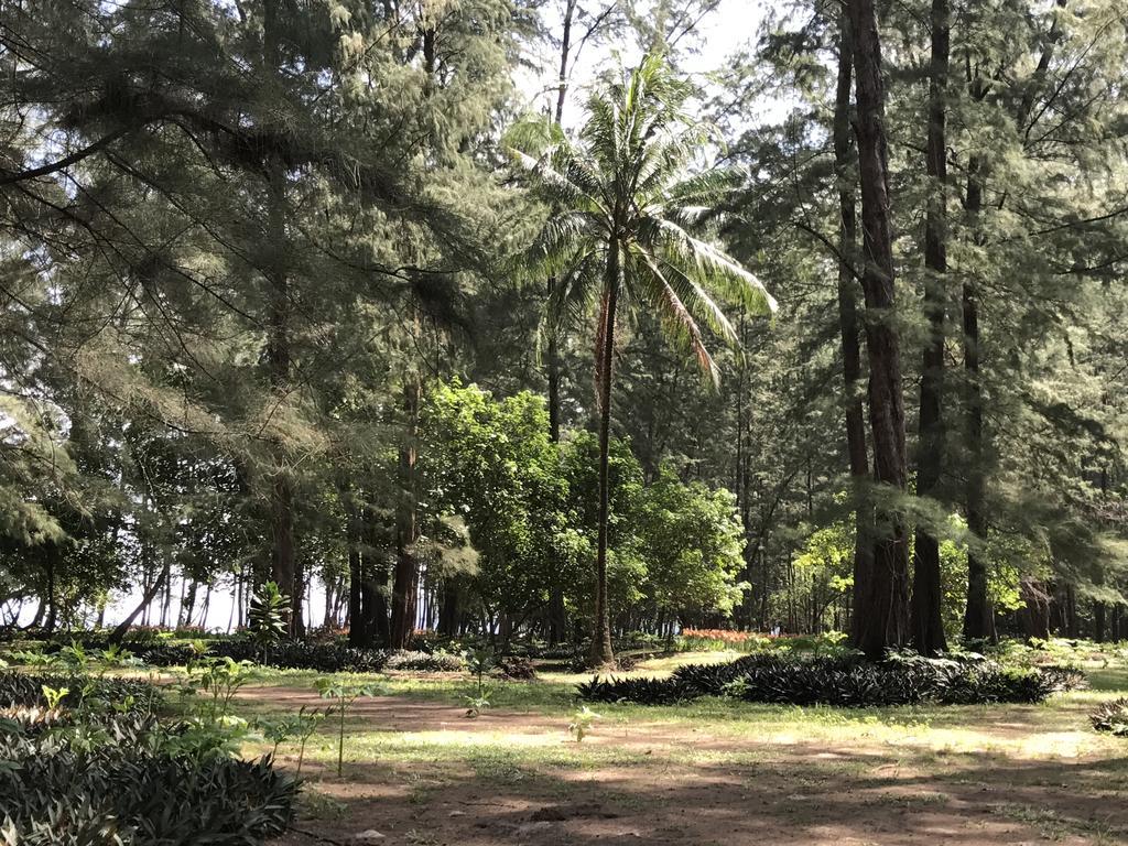Coconut Bungalow Nai Yang Beach エクステリア 写真