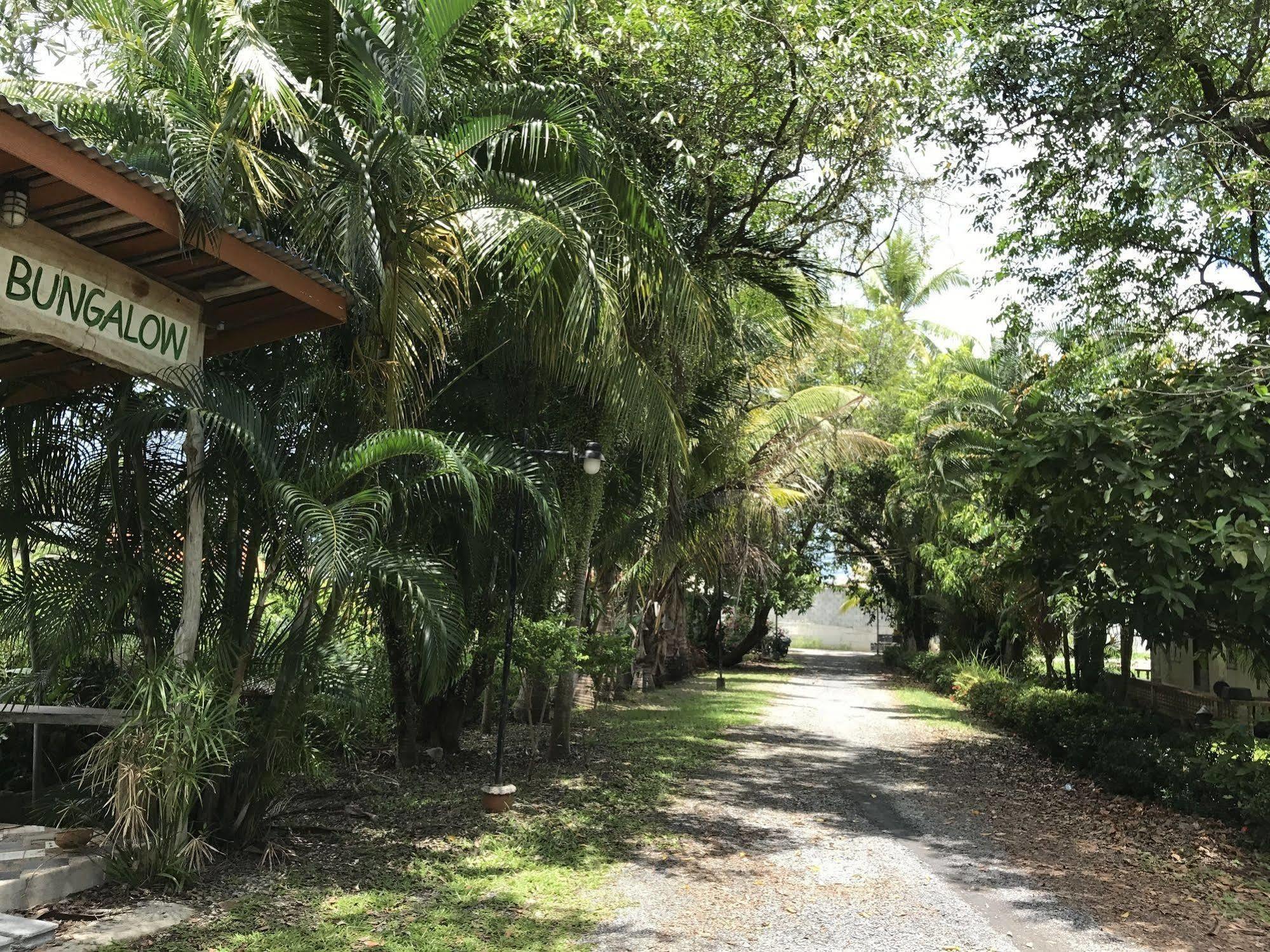 Coconut Bungalow Nai Yang Beach エクステリア 写真
